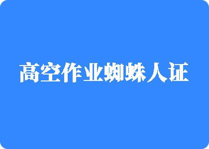 人和女人日逼的视频高空作业蜘蛛人证